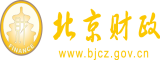 黑棒插白B北京市财政局