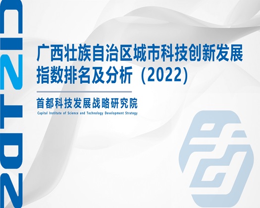 爱肏逼【成果发布】广西壮族自治区城市科技创新发展指数排名及分析（2022）